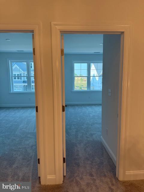 Building Photo - 316 Foxtail Ln