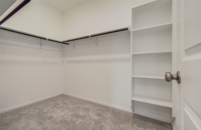 Building Photo - 26503 Foxtail Fern Dr