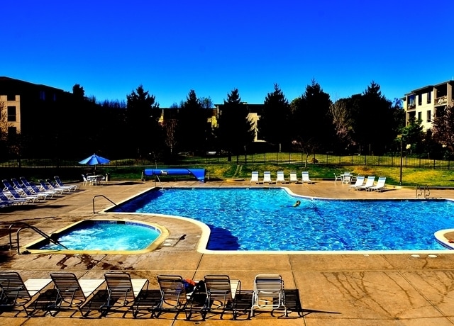 Building Photo - Bright 1/1 with an extra large patio, park...