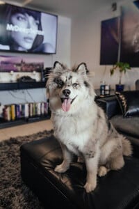 Building Photo - 6041 S Keating Ave