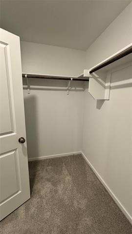 Building Photo - 406 Bower Dr