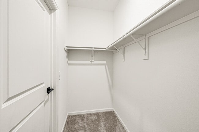 Building Photo - 7311 Roseshine Dr