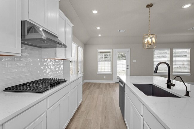 Building Photo - 2002 Bluff Oak Ct