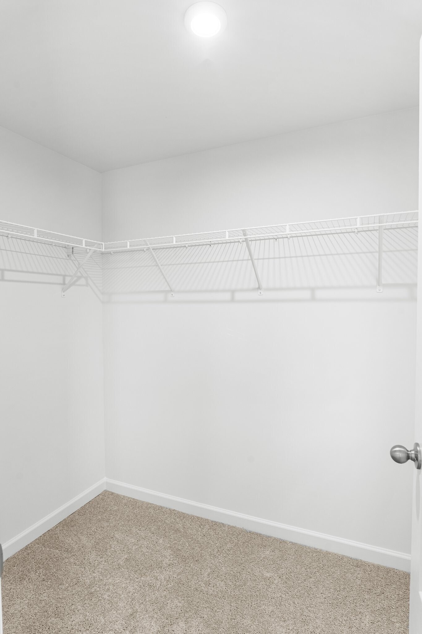 Building Photo - 5338 Bellflower Hls