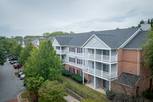 Building Photo - Salony House