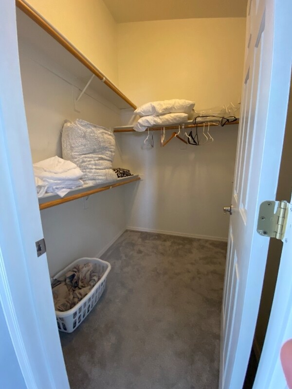 Building Photo - 1135 Boulder Park Ave