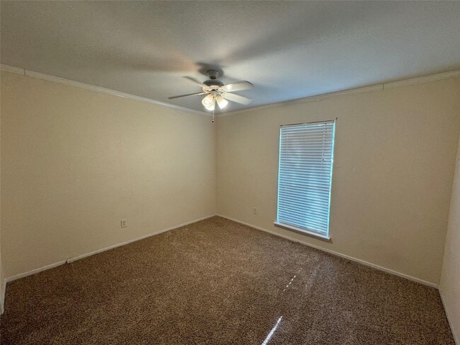 Building Photo - move in ready!