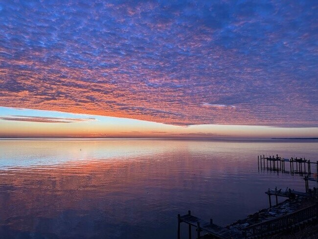Building Photo - Gorgeous Water Front Home with Beach Access