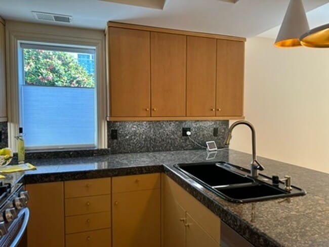 Building Photo - Epic REA- Serene 2 BR/1 BA Flat w/Private Deck & Yard in Lone Mountain