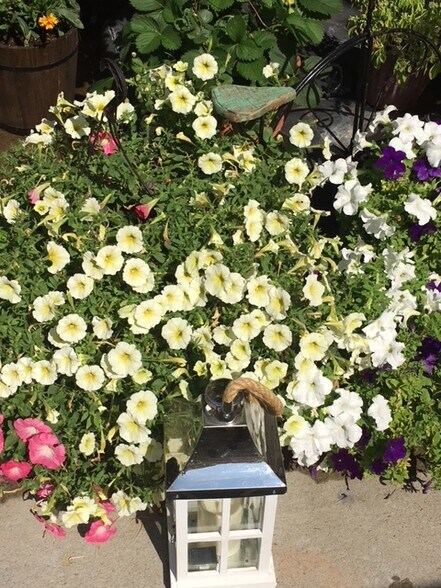 Peaceful & Beautiful Community Patio - 7626 W Opohonga Ln