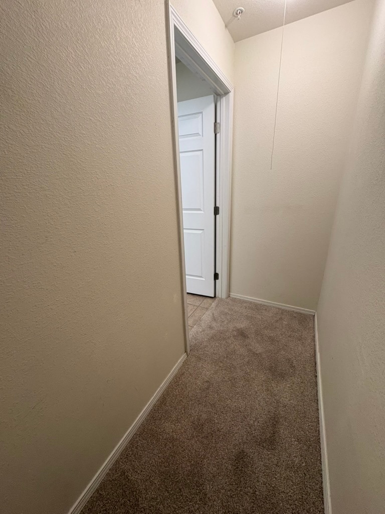 Storage - 8490 Canyon Rim Trl