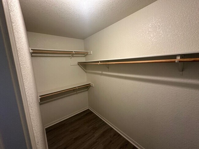 Building Photo - 2609 Vernice Loop