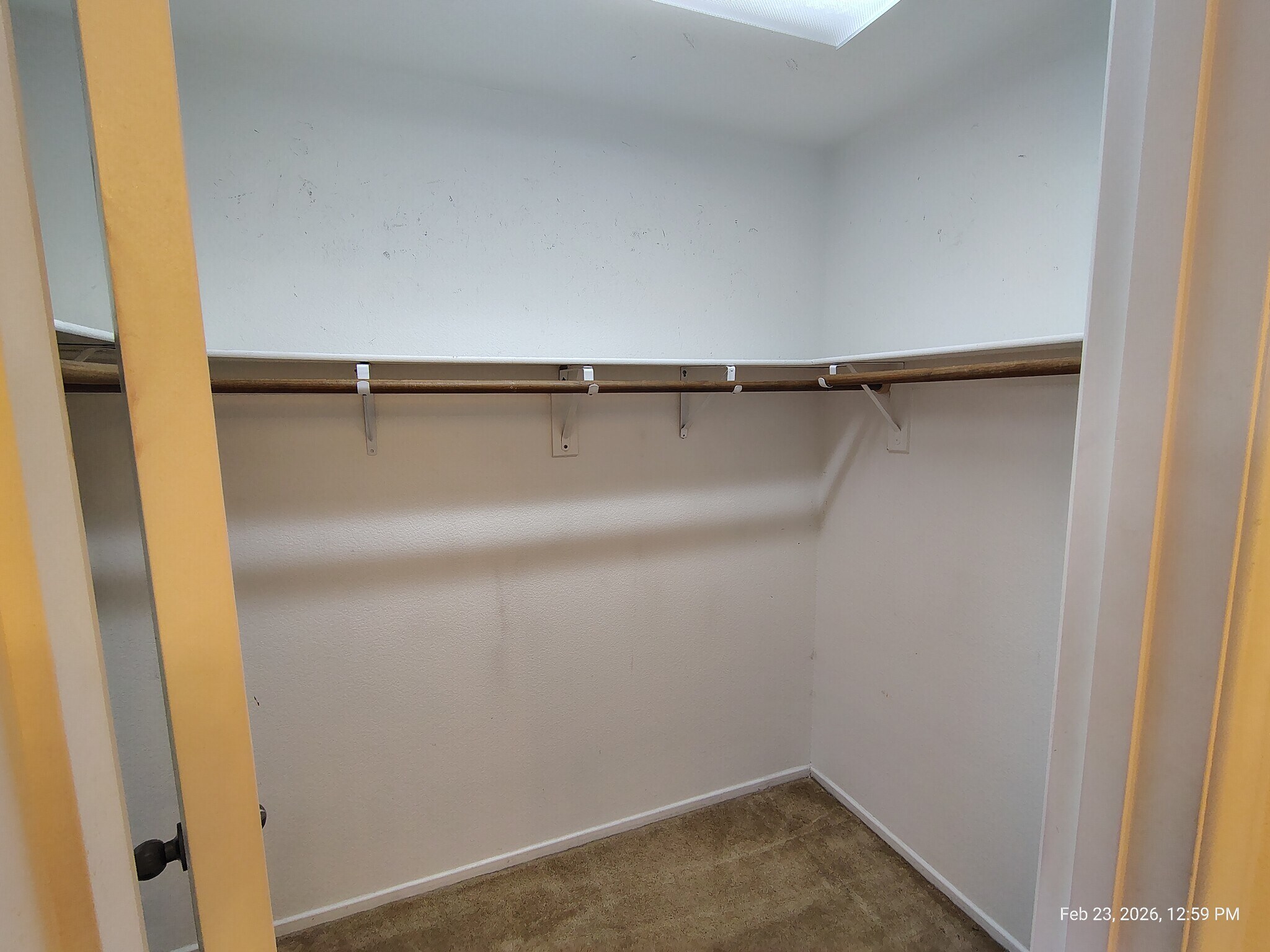 Building Photo - 10409 Calypso Cave St