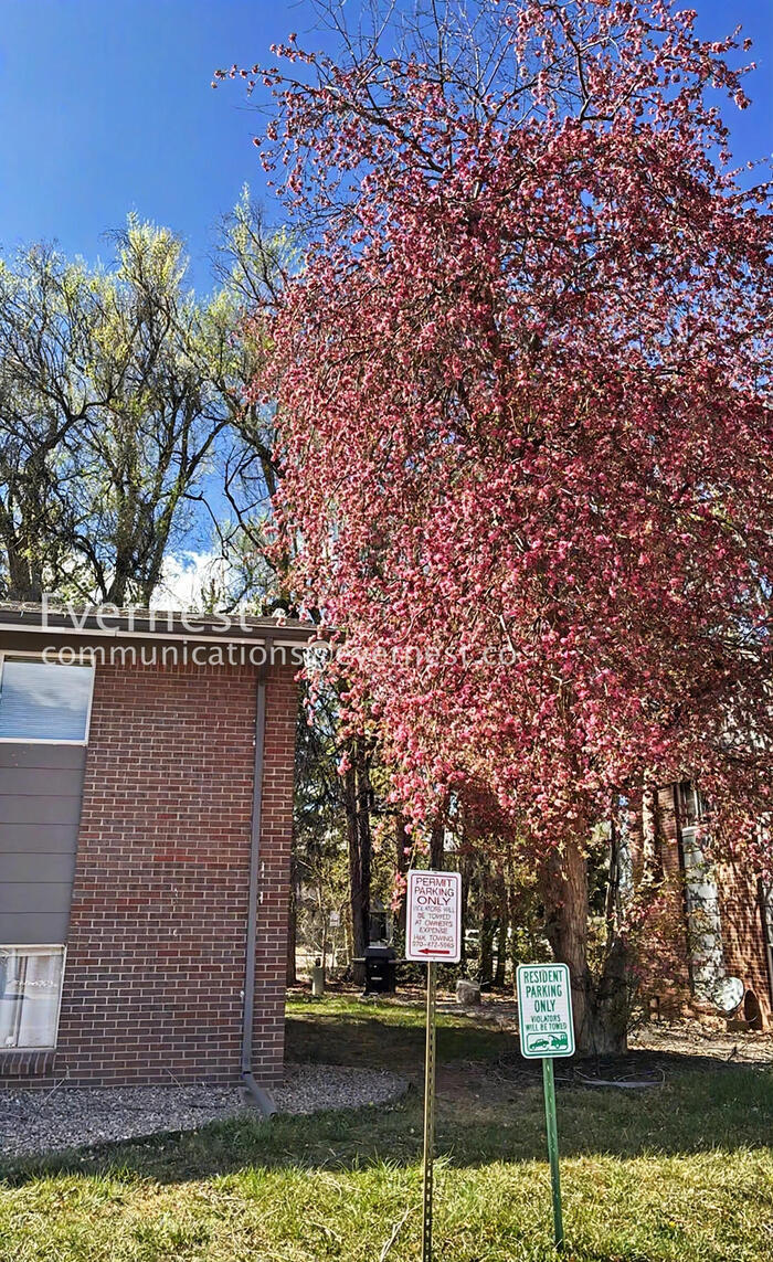 Building Photo - 1305 Burton Ct