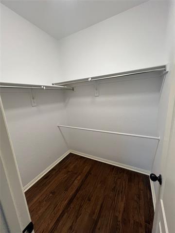 Building Photo - 4225 Swan Forest Dr