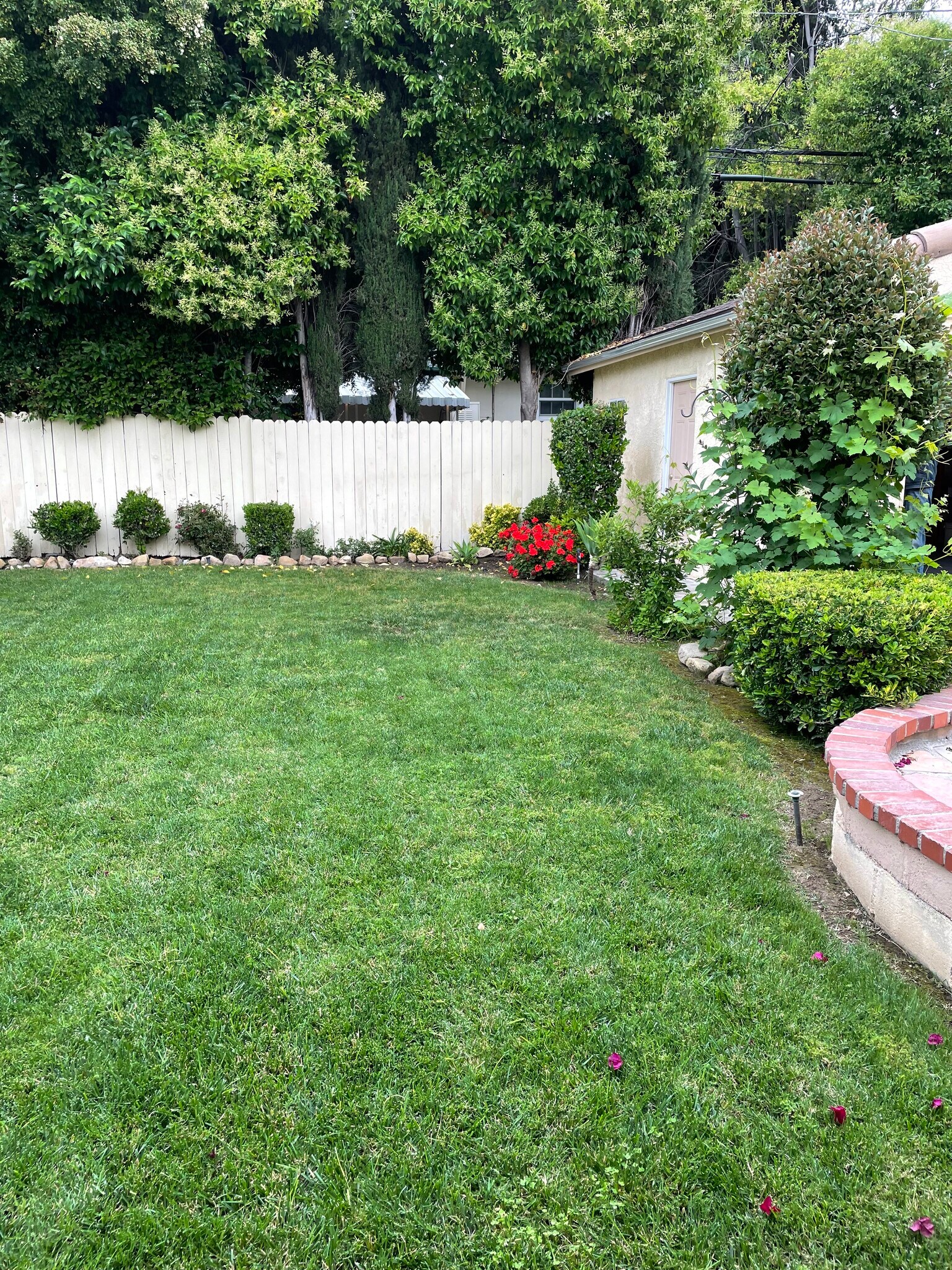 Building Photo - 5358 Baza Ave