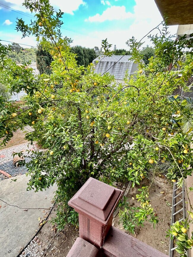 Building Photo - 4 Bedroom 3 bath Home In Rolando Village
