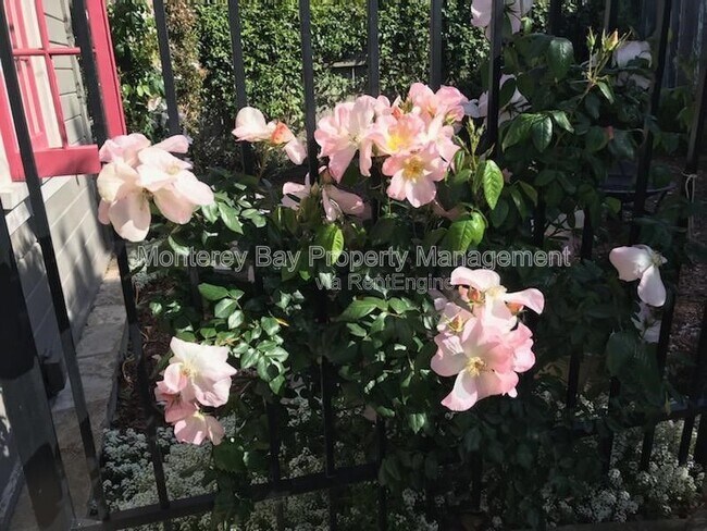 Building Photo - 515 Dickman Ave