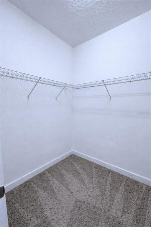 Building Photo - 3943 Cortland Dr