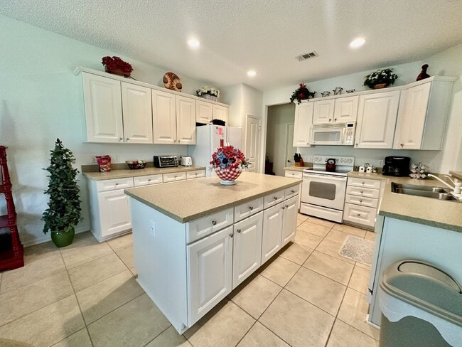 Building Photo - Large Beautifully Furnished Home in Sun City!