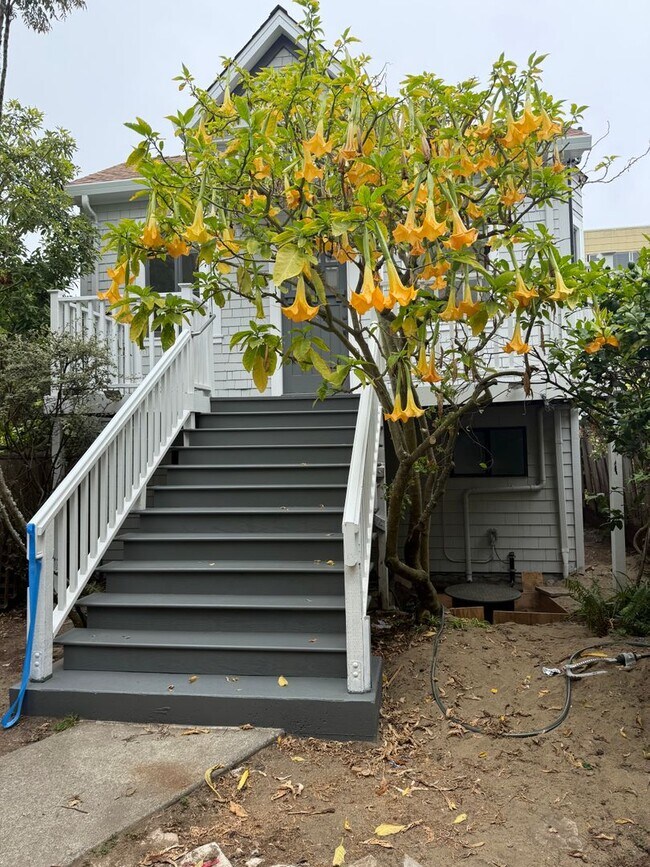 Building Photo - 462 21st Ave
