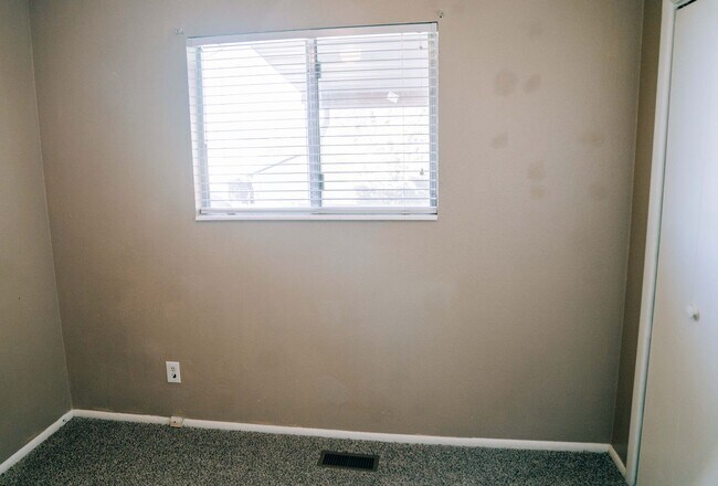 Building Photo - SMALL DOG FRIENDLY!!!  Meadow Street House