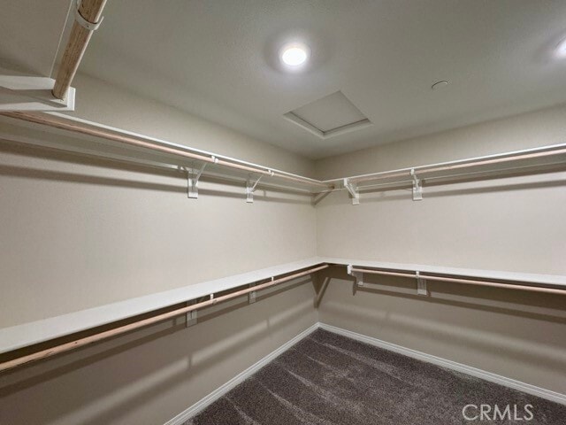 Building Photo - 1760 Chute Dr