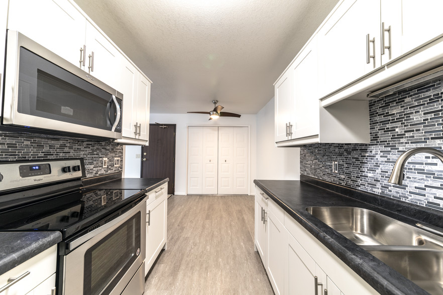 Upgraded Option- Kitchen - Chestnut Hills Apartments