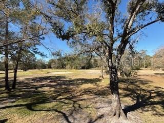 Building Photo - 3505 Tarpon Woods Blvd