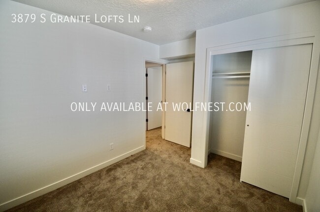 Building Photo - 3879 Granite Lofts Ln