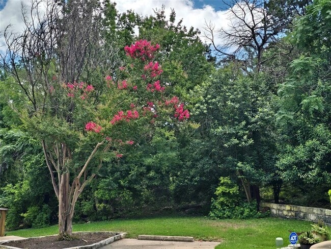 Building Photo - 10703 Misting Falls Trail