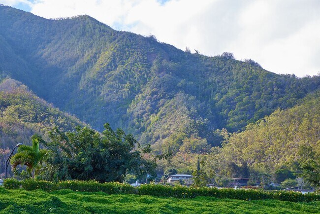 Building Photo - 3 Bedroom / 2 Bathroom – New Build for Lease in Anuhea at Kehalani (Pet Friendly!)