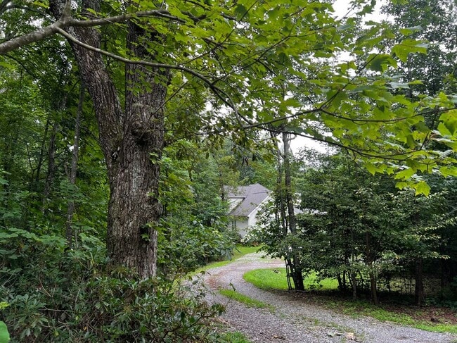 Building Photo - 577 Frontier Bluff Rd