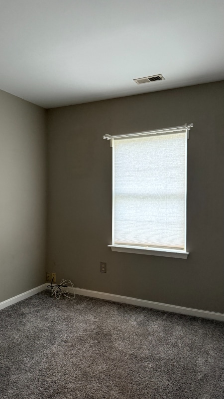 Building Photo - 4219 Star Cir