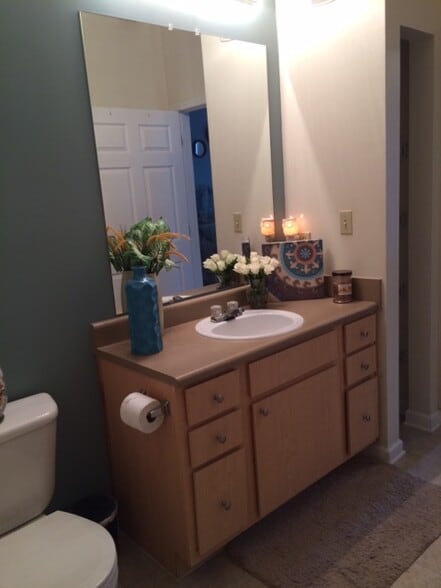 Bathroom - 624 Bristol Village Dr