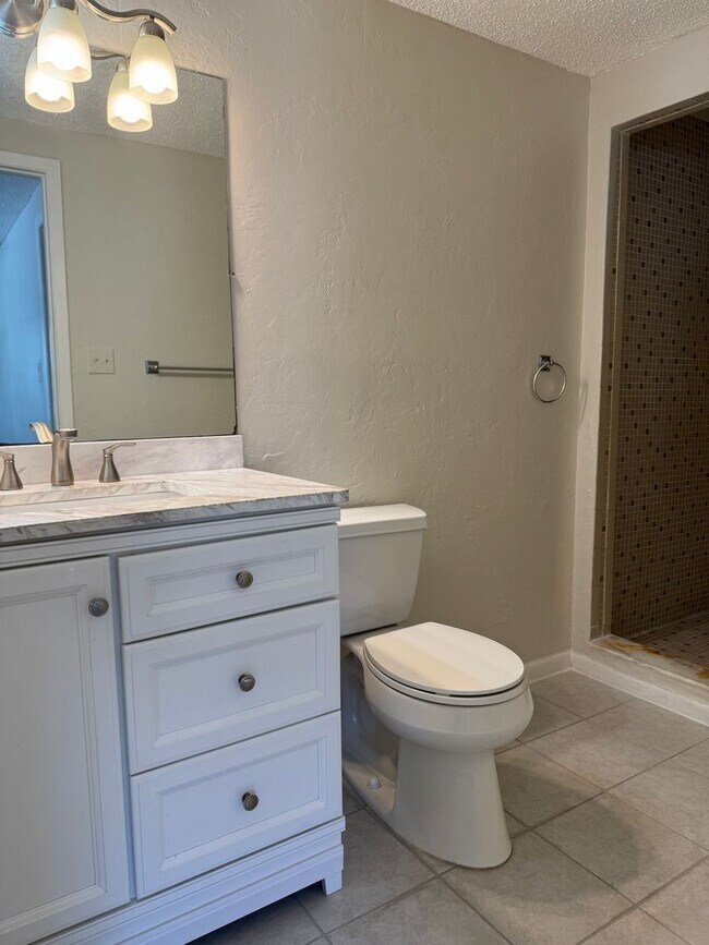 Building Photo - South Tampa Home