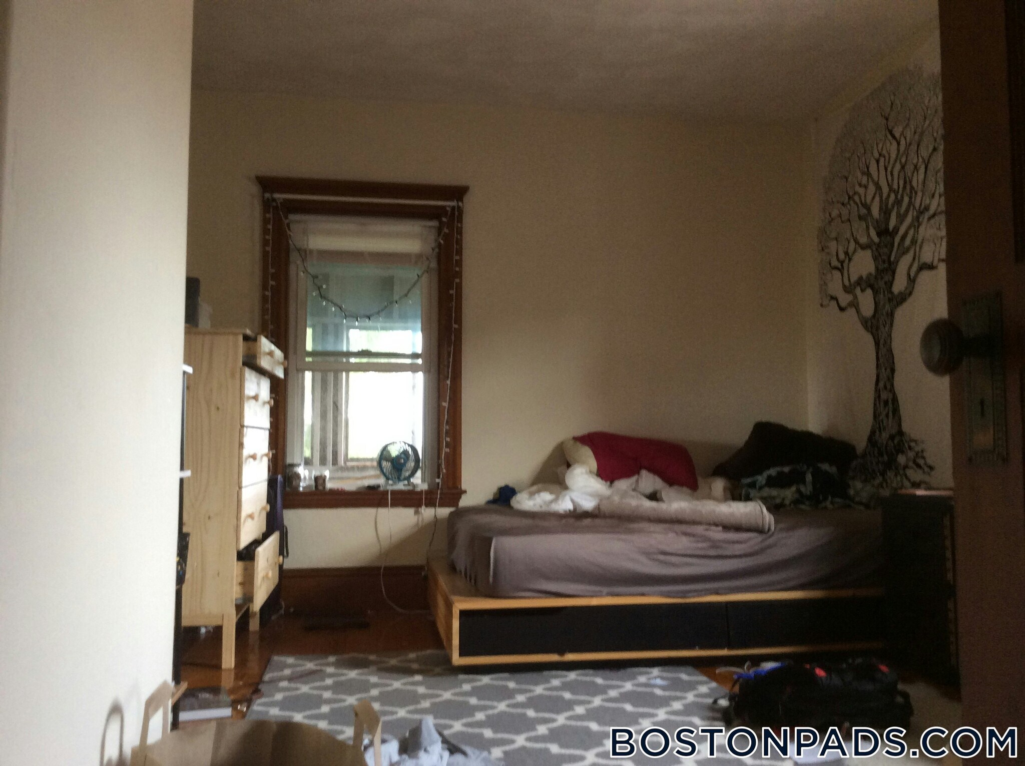 Building Photo - 258 Boston Ave