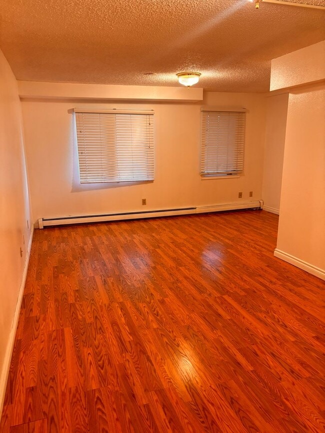 Building Photo - Perfect 2 Bed/2 Bath Downtown Condo w/Washer and Dryer Included!