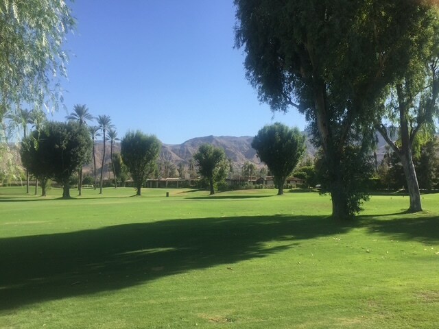 View From Patio - 23 Duke Dr