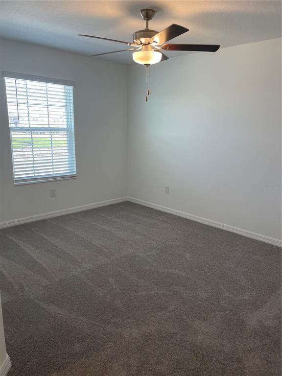 Building Photo - 32077 Powderpuff Mimosa Dr