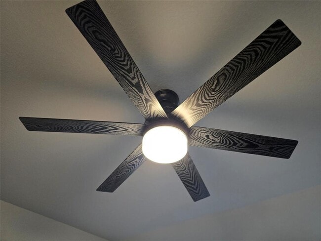 Building Photo - 602 Pearly Eye Dr