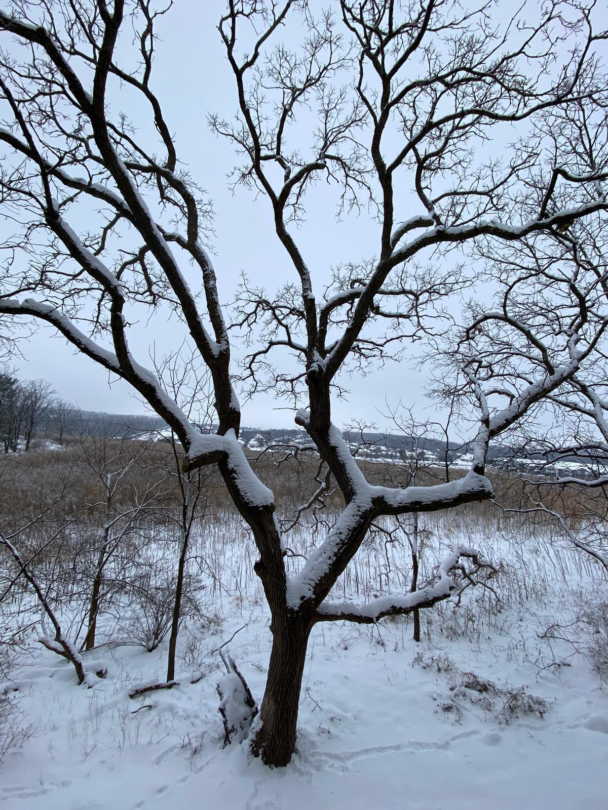 Building Photo - 8253 Mayo Dr