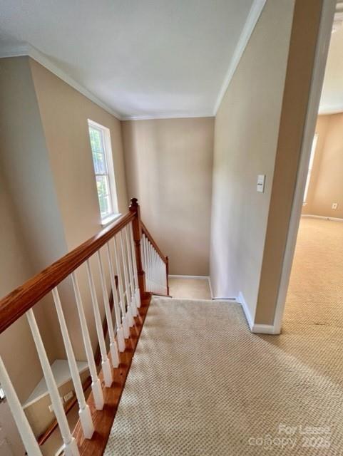 Building Photo - 11840 Royal Castle Ct
