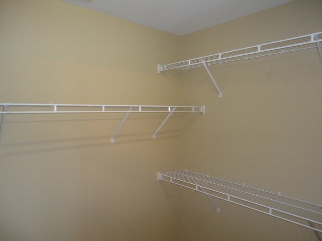 Building Photo - 1120 Rutledge Landing Dr