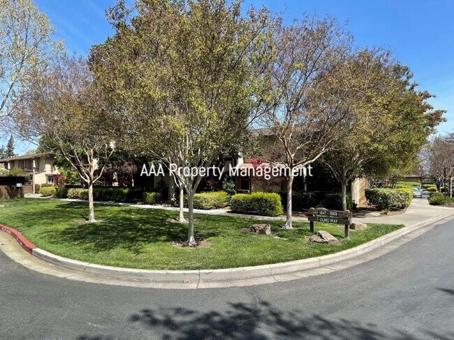 Building Photo - 1861 Olmo Way