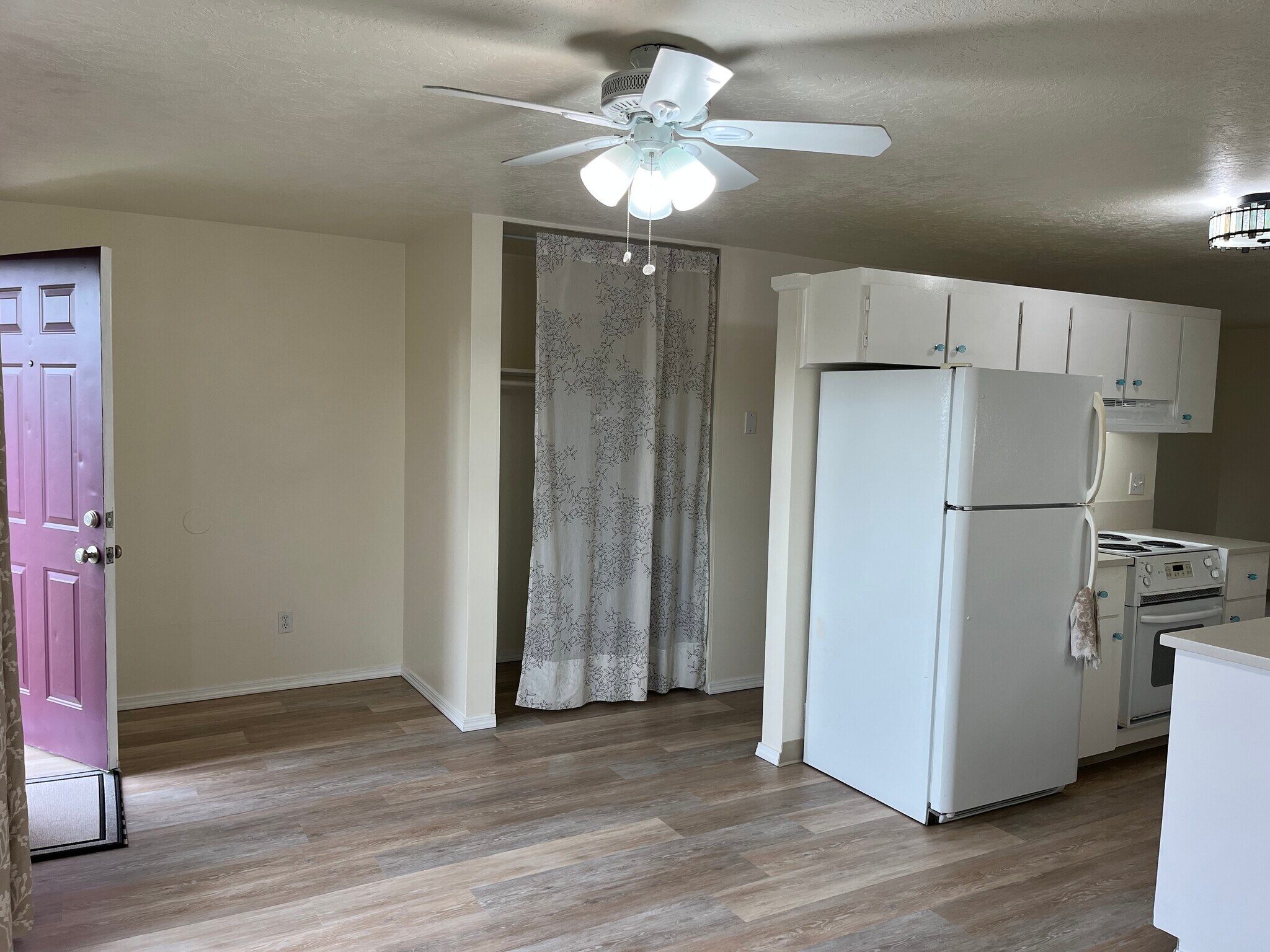 Dining room view of kitchen and coat closet - 65 NE 19th St
