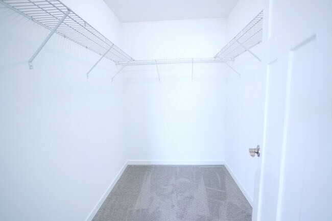 Building Photo - 1241 Gillespie Ln