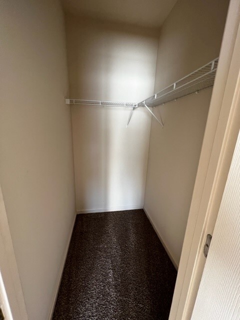 Primary Closet - 275 Dale Ln