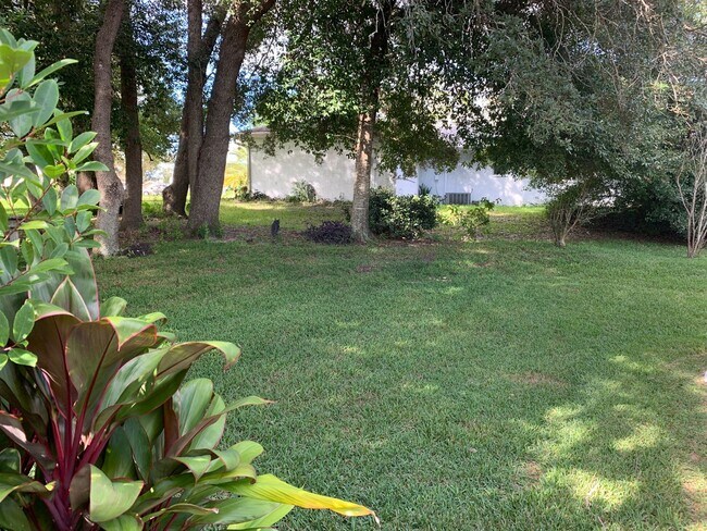 Building Photo - Beautiful Spring Hill pool home