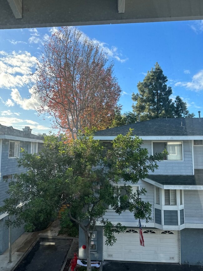 Building Photo - 8115 Surfline Dr